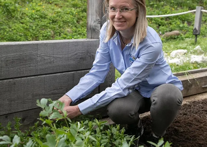 בית הארחה Rifugio Salei 4*